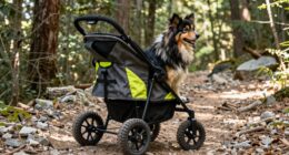 top dog strollers 2026