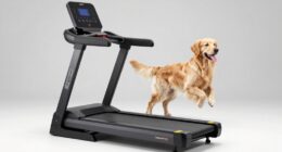 top dog treadmill options