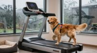 top dog treadmills list
