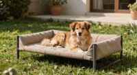 top elevated outdoor dog beds