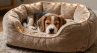 top heated beds for small dogs