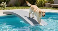 top large dog pool ramps