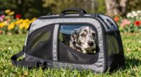 top senior dog carriers