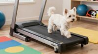 top small dog treadmills