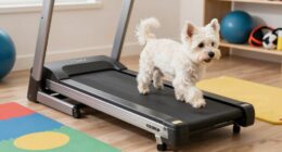 top small dog treadmills