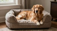 adjusting dog living space