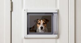 advanced security and integration