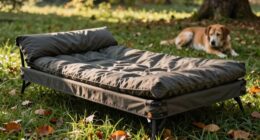 dog friendly outdoor sleeping solution
