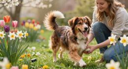 dog health spring check