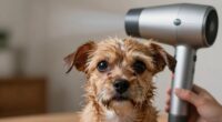 dogs dislike blow dryers