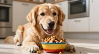 dogs enjoy crunchy treats
