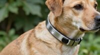 gps collar misconception myth