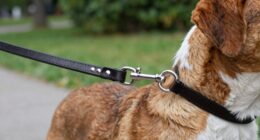 hidden leash training mistake