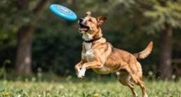 high energy exercise activities