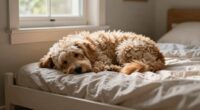 lower bed sides improve sleep