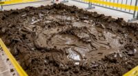 mud resistant floor setup
