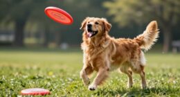 overdoing fetch s benefits