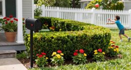 overgrown plants provoke reactions