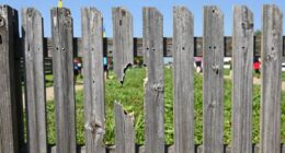 owners overlook escape points