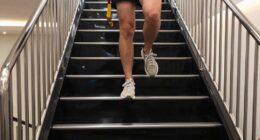 owners skip stairs using lift
