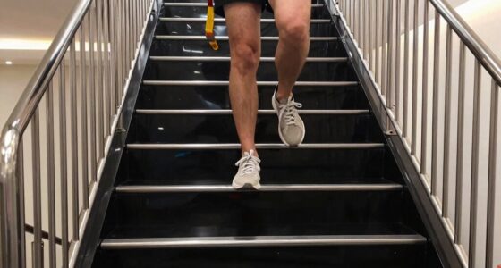 owners skip stairs using lift
