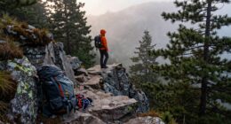 recovery habit owners overlook
