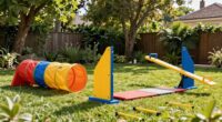 safe fun backyard agility