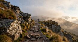 stagnation before improvement