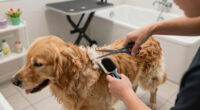 11 Best Dog Grooming Tools for Spring in 2026