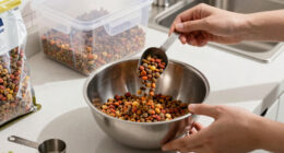 13 Best Dog Kibble in 2026