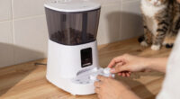 15 Best Automatic Pet Feeders in 2026