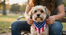 15 Best Patriotic Dog Bandanas in 2026