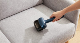 15 Best Pet Hair Remover Brushes in 2026