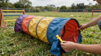 11 Best Dog Agility Training Equipment in 2026