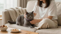 13 Best Pet Calming Products in 2026