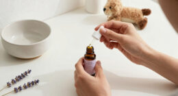 14 Best Pet Calming Products in 2026