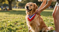15 Best Dog Patriotic Bandanas in 2026