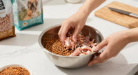 15 Best High-Protein Dog Foods in 2026