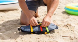 Beach Day The Pet-Safe Way — With Bonus Boat Safety Tips!