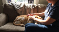 Commentary: The Joy And Heartbreak Of Adopting A Senior Dog - Los Angeles Times