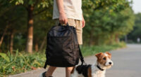 How to Choose Dog Backpacks For Travel
