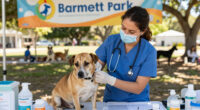 Orange County Animal Services vaccinates, microchips 500 dogs at Barnett Park