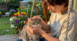 There’s No Cat As Sweet And Friendly As Tommy!