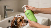 Why a Hollywood hairstylist swears by this $15 pet shampoo