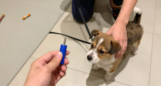 14 Best Puppy Training Clickers in 2026