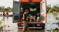 ASPCA Assists With The Emergency Evacuation Of Over 50 Animals Due To Flooding