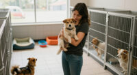 Clear The Shelters: Hundreds Of Homeless Pets Available At OC Animal Care