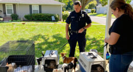 Granite City Police Seize 25 Pets During Search Warrant