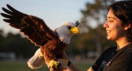 Jackie Big Bear Eagle