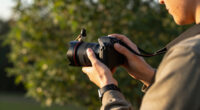 Roy Dennis Wildlife Foundation Surges In Global Coverage